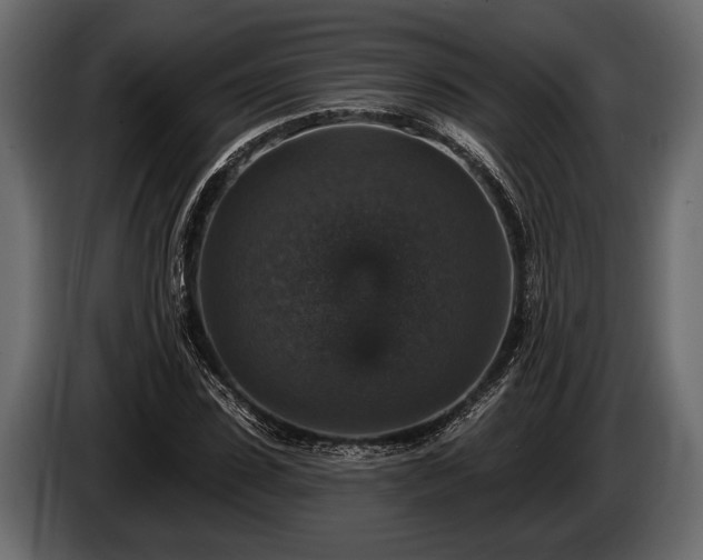 X0000085770923200703231220