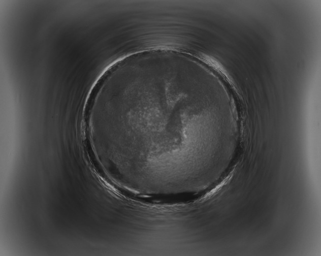 X0000085770924200703231220