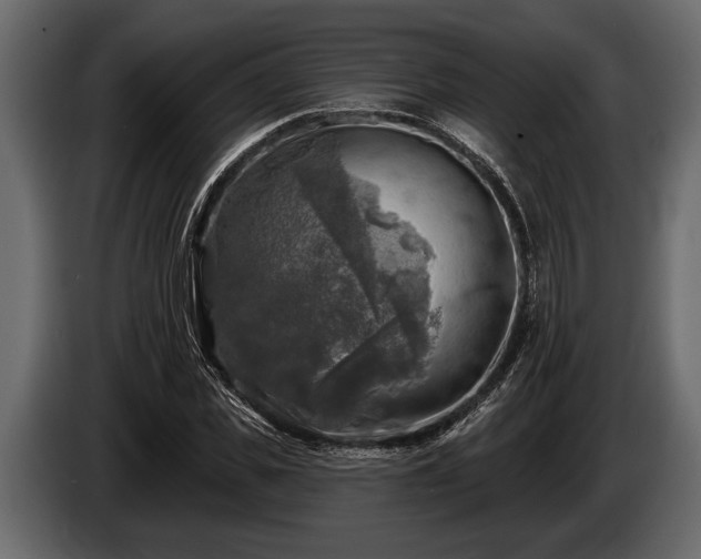 X0000085770925200703231220