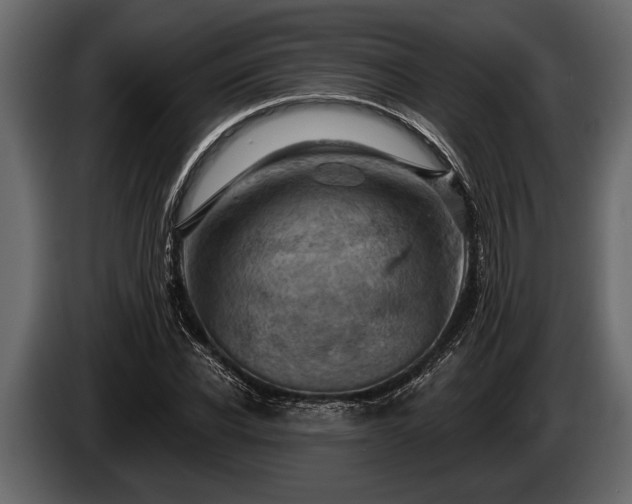 X0000085770926200703231220