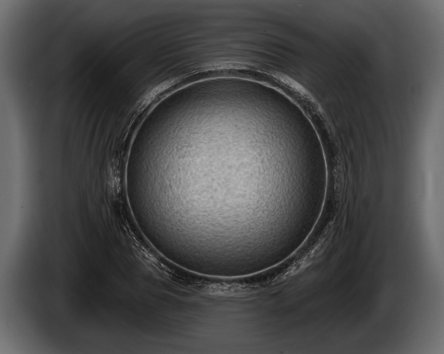 X0000085770929200703231220