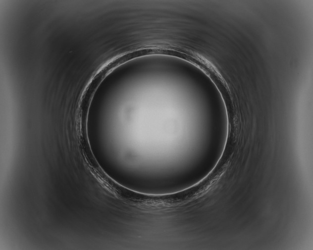 X0000085770931200703231220