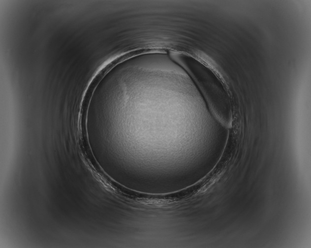 X0000085770932200703231220