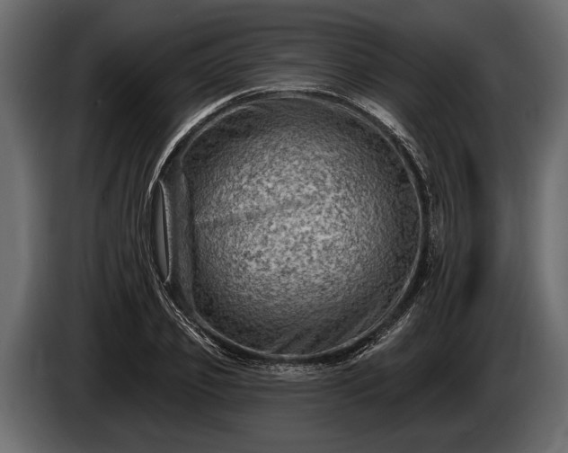 X0000085770933200703231220