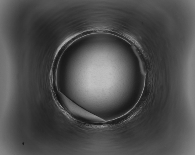 X0000085770936200703231220