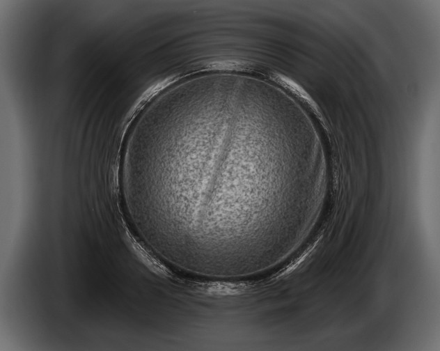 X0000085770938200703231220