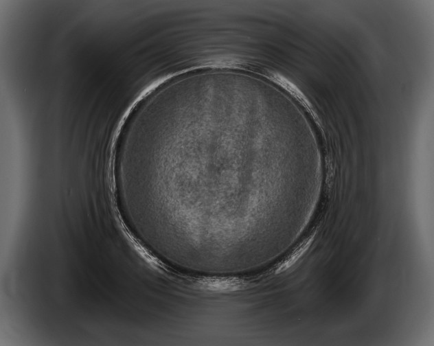 X0000085770939200703231220