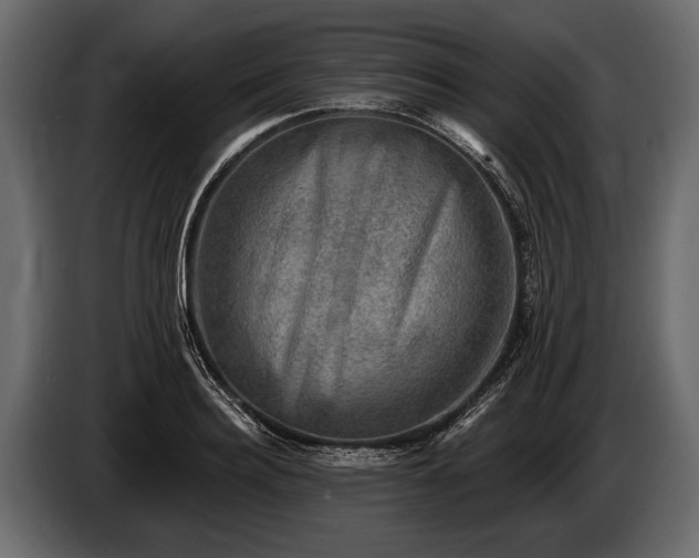 X0000085770940200703231220