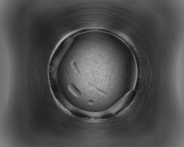 X0000085770942200703231220