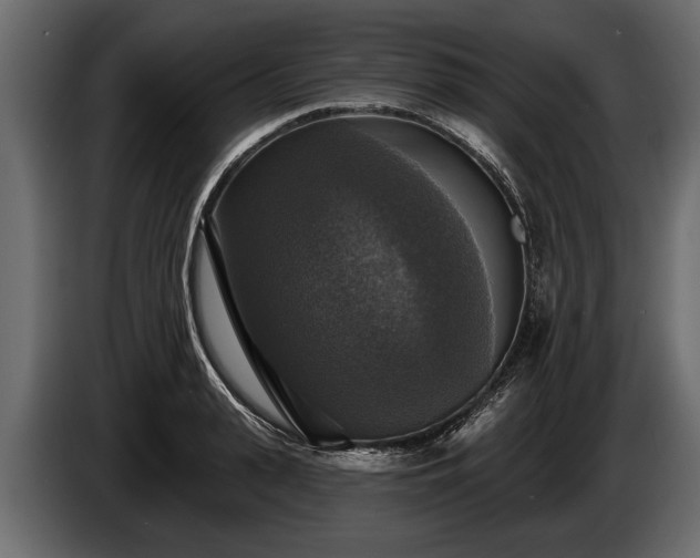 X0000085770943200703231220