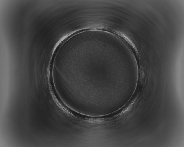 X0000085770944200703231220