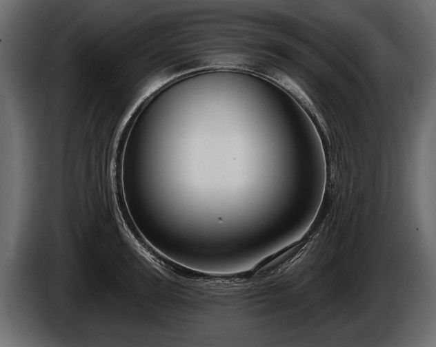 X0000085770947200703231220