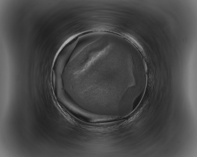 X0000085770948200703231220