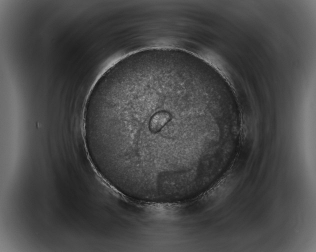 X0000085770950200703231220