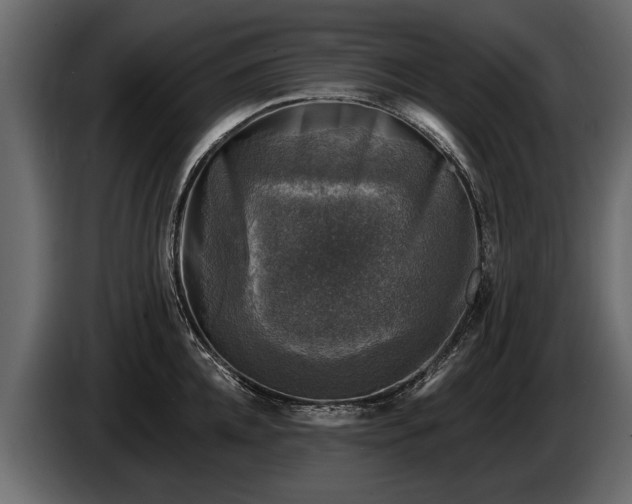 X0000085770952200703231220