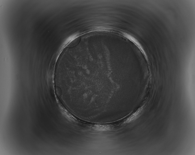 X0000085770954200703231220