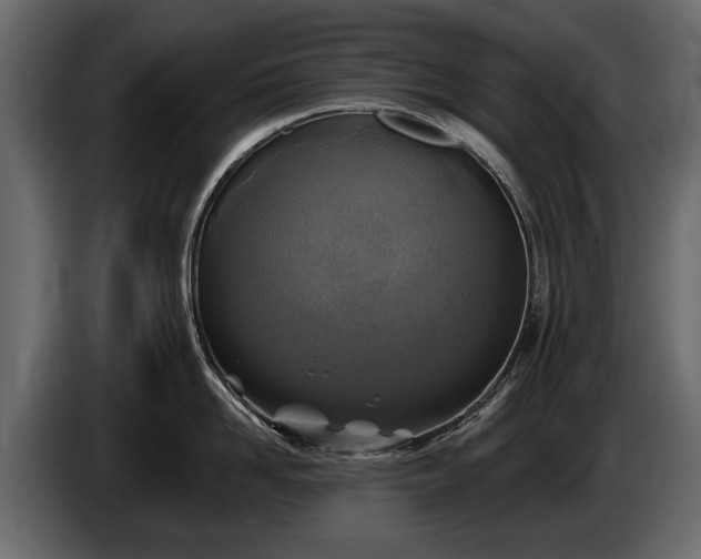 X0000085770958200703231220