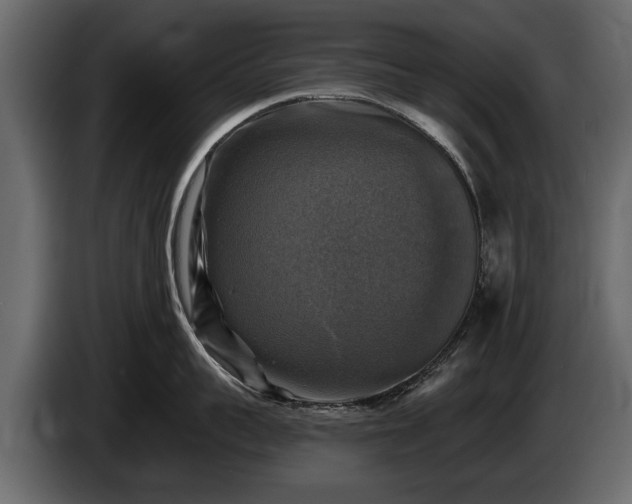 X0000085770959200703231220