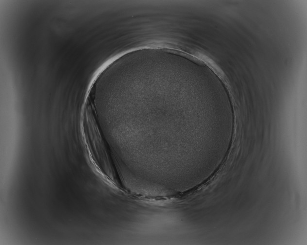 X0000085770960200703231220