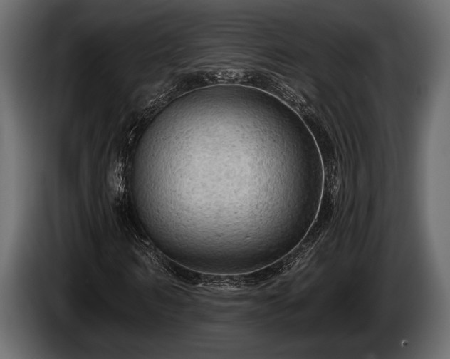 X0000085770962200703231220