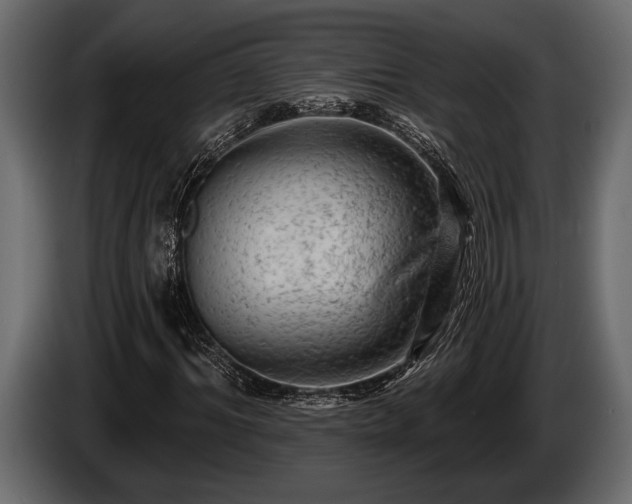 X0000085770964200703231220