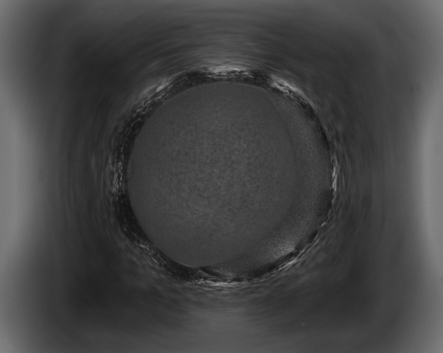 X0000085770965200703231220