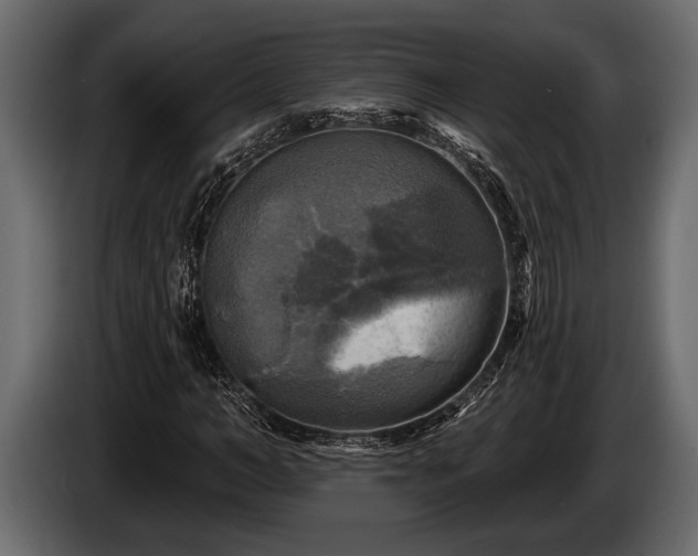 X0000085770966200703231220