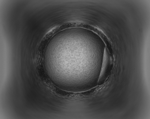 X0000085770967200703231220