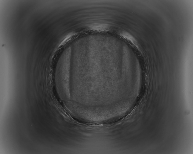 X0000085770968200703231220