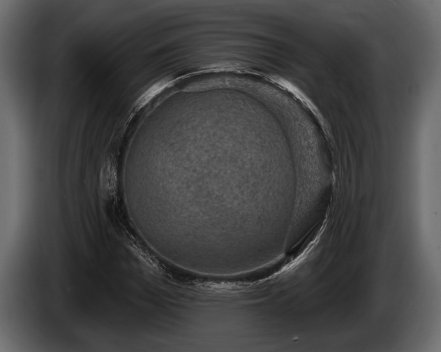 X0000085770969200703231220