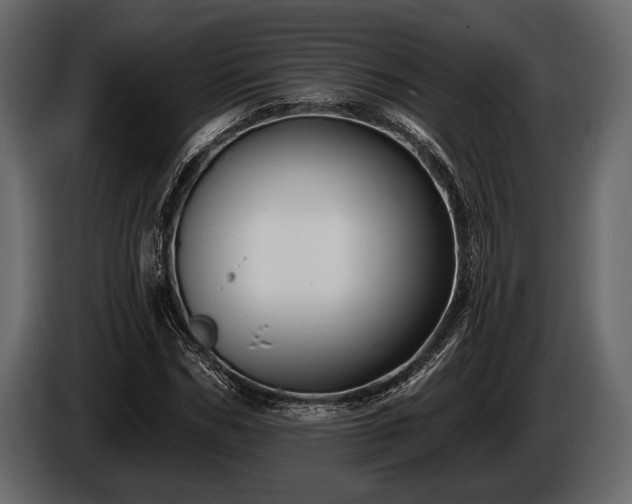 X0000085770970200703231220