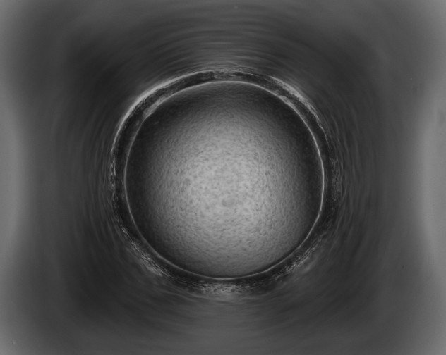 X0000085770971200703231220