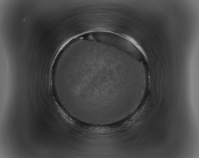 X0000085770972200703231220