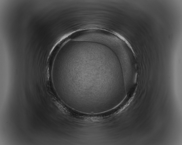 X0000085770973200703231220