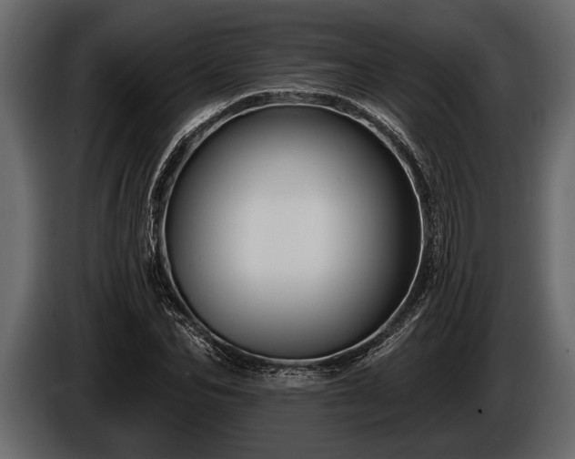 X0000085770974200703231219