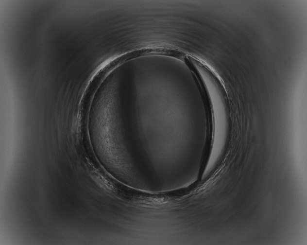 X0000085770975200703231219