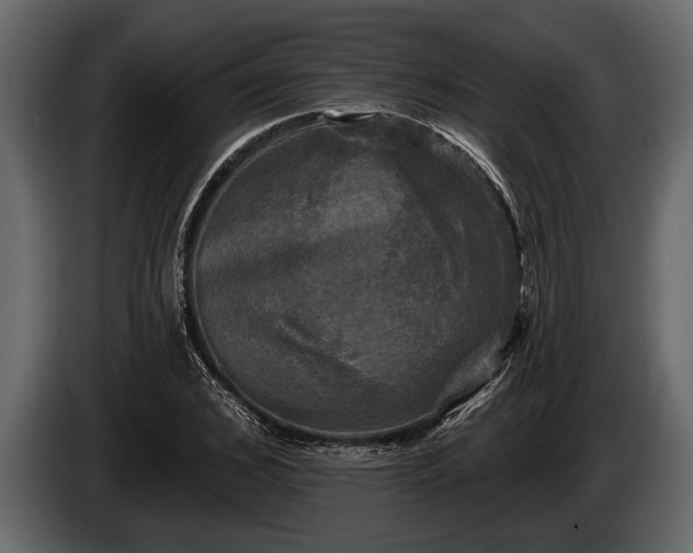 X0000085770976200703231219