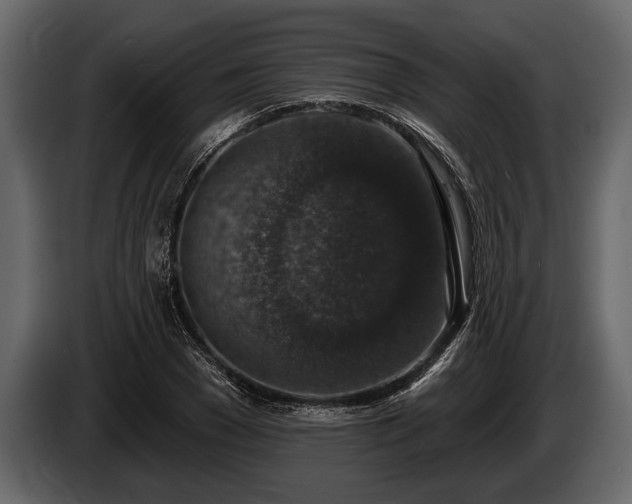 X0000085770977200703231219