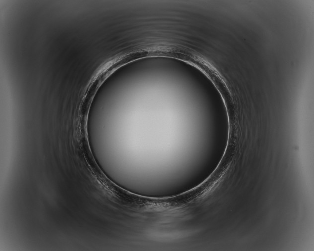 X0000085770978200703231219