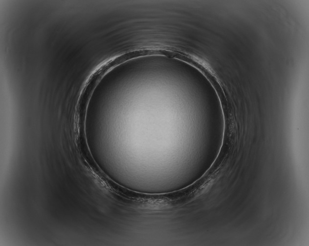 X0000085770979200703231219