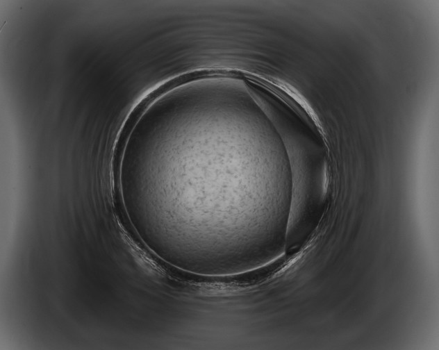 X0000085770980200703231219