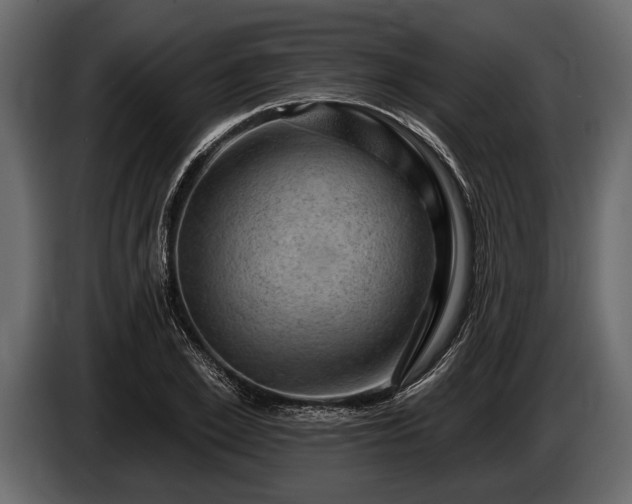 X0000085770981200703231219