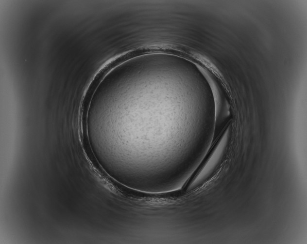 X0000085770984200703231219