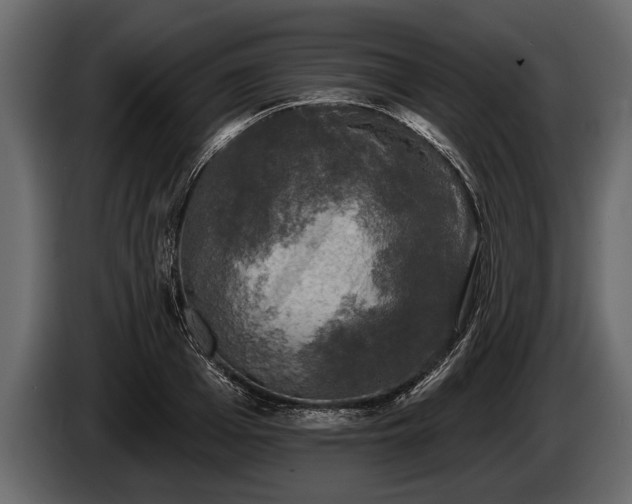 X0000085770985200703231219