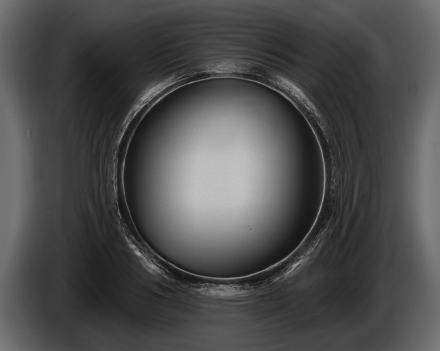 X0000085770986200703231219