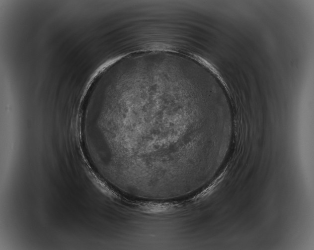 X0000085770987200703231219