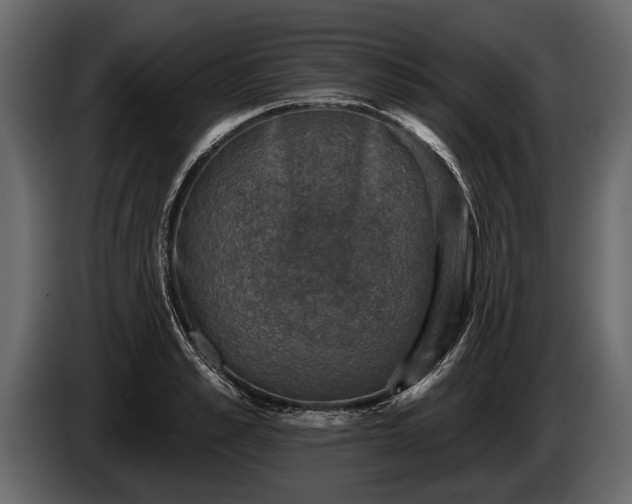 X0000085770989200703231219