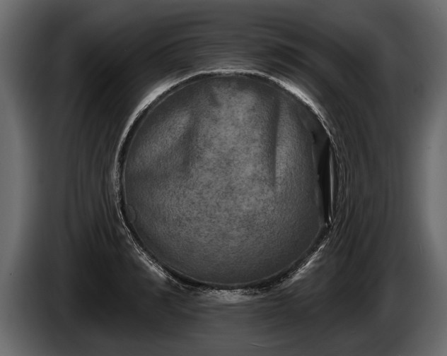 X0000085770990200703231219