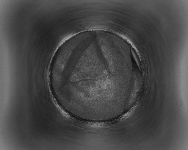 X0000085770991200703231219