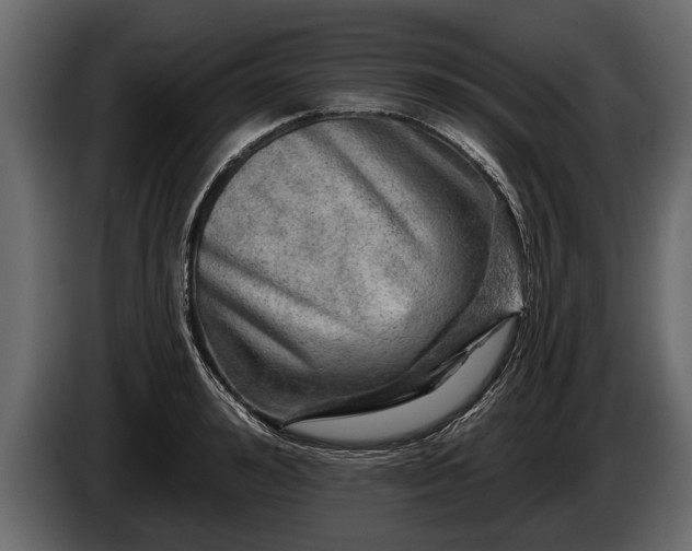 X0000085770992200703231219